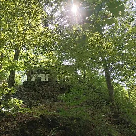 Burgberg Schoellnstein Iggensbach Exterior foto