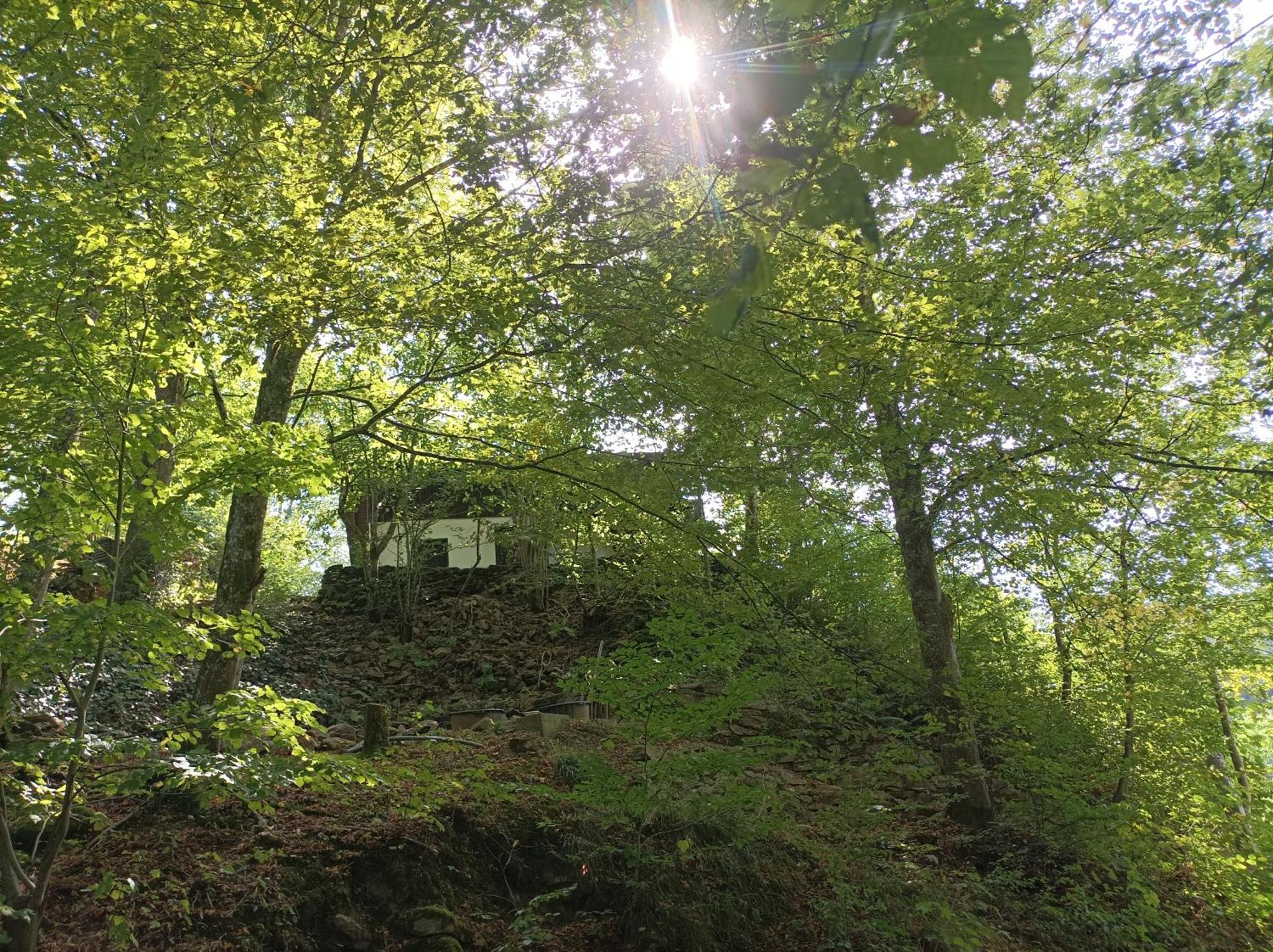 Holiday home Burgberg Schoellnstein *